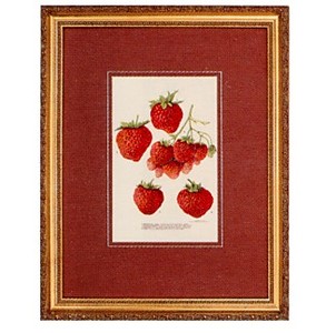 Gifts.net.nz - Nostalgic Collectables