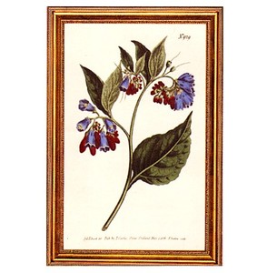 Gifts.net.nz - Nostalgic Collectables