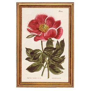 Gifts.net.nz - Nostalgic Collectables