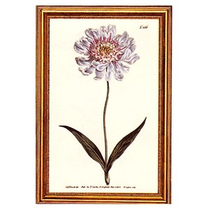 Gifts.net.nz - Nostalgic Collectables