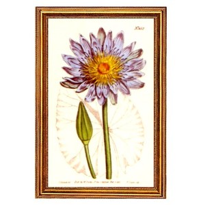 Gifts.net.nz - Nostalgic Collectables