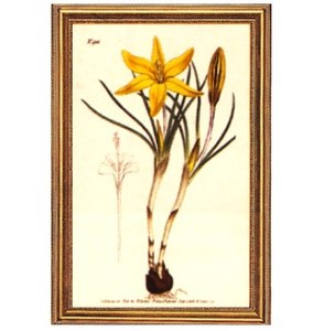 Gifts.net.nz - Nostalgic Collectables