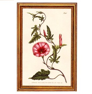 Gifts.net.nz - Nostalgic Collectables