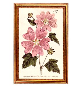 Gifts.net.nz - Nostalgic Collectables