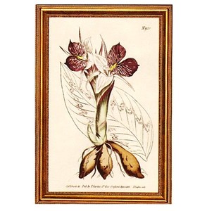 Gifts.net.nz - Nostalgic Collectables