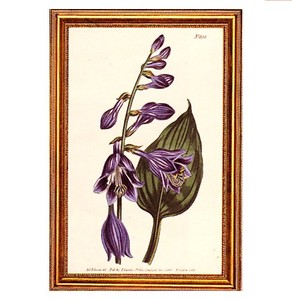 Gifts.net.nz - Nostalgic Collectables