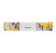 Pina Colada Dental Kit Boxed (250/CTN)