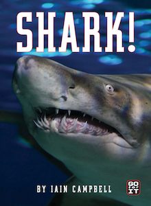 Shark - Giltedge Publishing