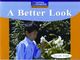 A Better Look - Giltedge Publishing