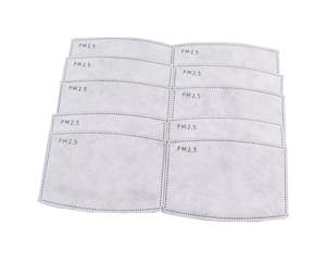 Essentials: PM2.5 FACE MASK DISPOSABLE FILTERS 10pk