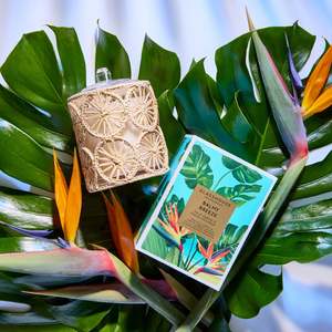 Glasshouse Fragrances Circa: 380g Candle - Balmy Breeze - Palo Santo & Fresh Coconut