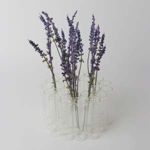 Gifts: Test Tube 24pc Vase Round 10cm