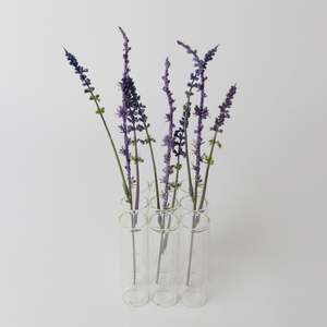 Test Tube 9pc Vase 3x3 10cm