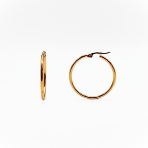 Stainless Steel Hoops