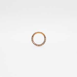 Hoops: Opal Segment Hoop