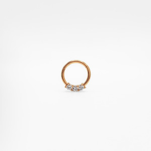 Hoops: 3 Sparkle Segment Hoop