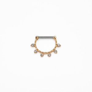 Gem Cluster Nipple Shield