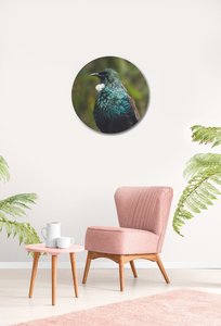 Tui On Watch Circular Glass Art - Glassography & Florals
