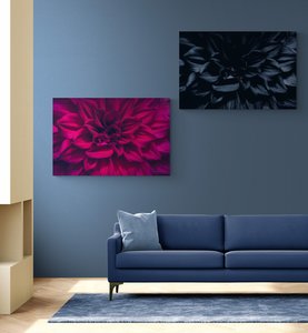 Petal Perfection Twin Images Glass Art - Glassography & Florals