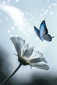 Layla Glass Art - Glassography & Florals