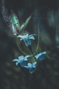 Blue Haze - Glassography & Florals