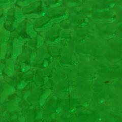 Scrap Packs: Glass Scrap Packs - Green T