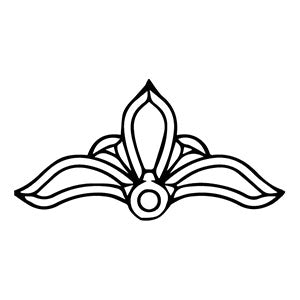 Bevels Nt: Bevel Cluster - CH A31