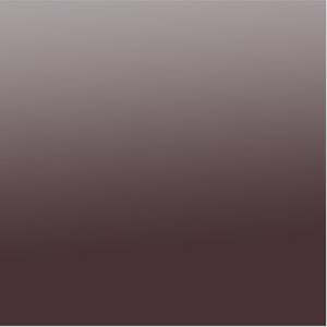 Paints Enamels Nt: Ancient Brown O