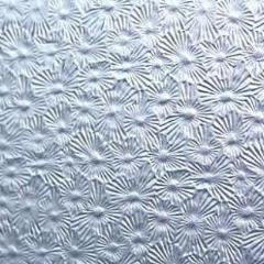 Thick Thin Glass Nt: Clear Florentine (2mm) T