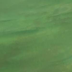 Irid White / Hunter Green O