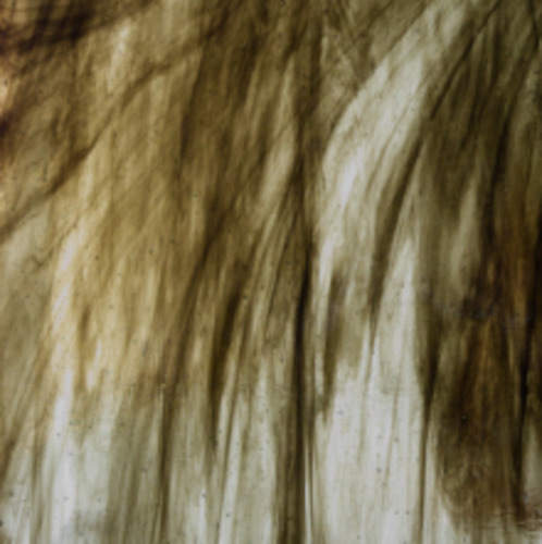 Wissmach Ll: Dark Grey / Brown / Streaky Clear T