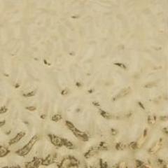 English Muffle: Regency Gold English Muffle T