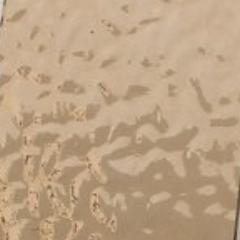 English Muffle: Apricot Beige English Muffle T