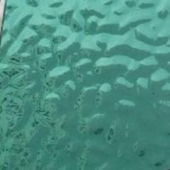 Aqua Mist English Muffle T