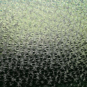 Florentine: Light Yellow-Green Florentine T