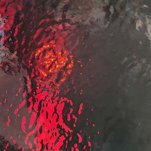 Dark Amber-Brown Corella Classic T