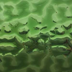 Flemish: Medium Army Green Flemish T