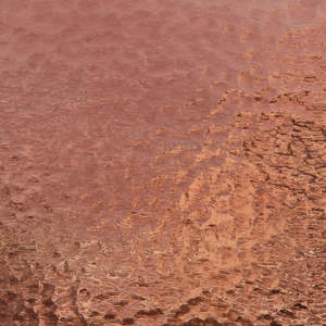 Corella Classic: Light-Medium Purple Corella Classic T