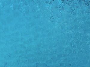 Tahitian Blue Florentine T