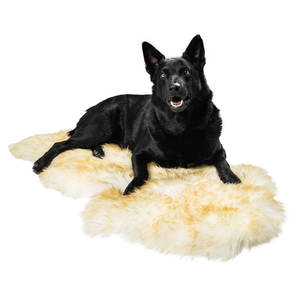 Pet Snuggly Sheepskin Pad - Bowron Sheepskin Tannery & Factory