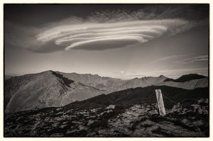 Products: The Remarkables