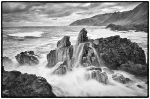 Products: Wairarapa