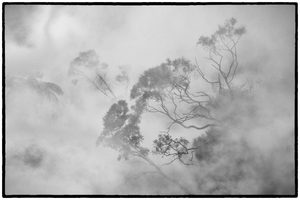Bay Of Plenty