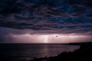 Products: Mahia Peninsula