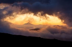 Products: Whakapapa