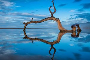 Products: Herbertville Coastline