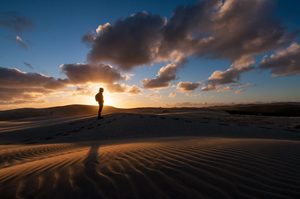 Te Paki Sand Dunes