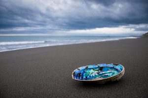 Products: Ocean Beach