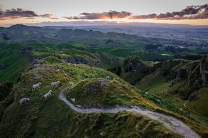 Te Mata Peak