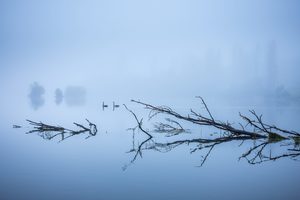 Products: Lake Karapiro